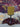 Beeswax Ancient Pillar: A Grand Centrepiece Beeswax Candle, Sacred and Special by Amaru Aromatherapy