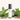 Embrace the Radiance of Fire Elixir - Fire Roll-On Perfume by Amaru Aromatherapy