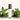 Moontime Elixir Aromatherapy Roll-On: Find Balance and Relaxation by Amaru Aromatherapy