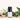 Fresh & Fierce Essential Oil Otorongo: Unleash Your Inner Wild and Befriend Shadow by Amaru Aromatherapy
