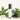Peppermint Roll-On Perfume: Discover the Cool and Minty Essence by Amaru Aromatherapy