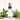 Rosemary Hydrosol: Experience the Essence of Herbal Awakening by Amaru Aromatherapy